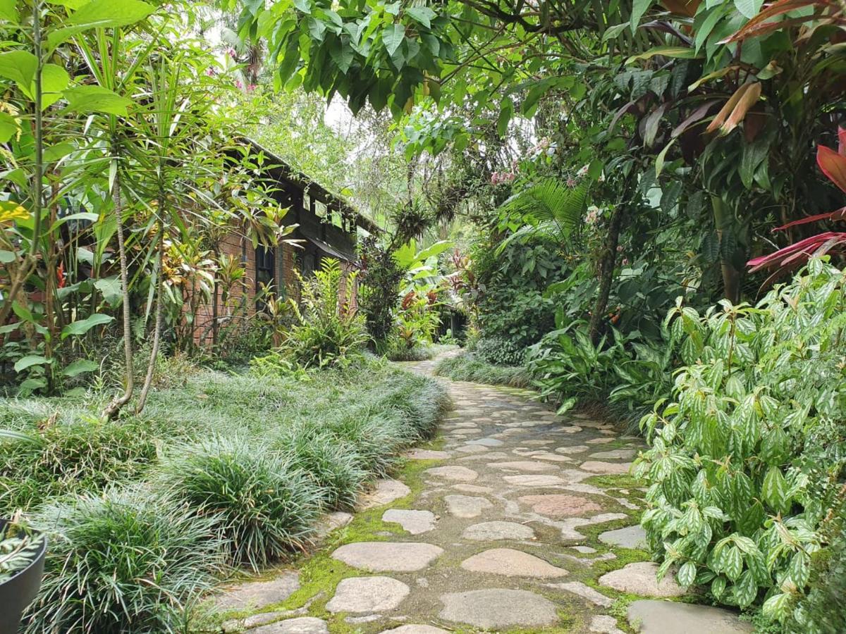 Pousada Do Oasis Morretes Exteriör bild